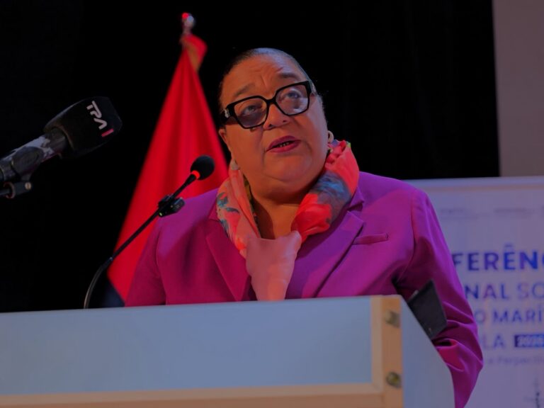 Ministra do MAPTSS defende regularização urgente de Angola na OMI